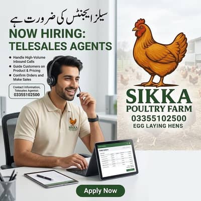 Telesales executive