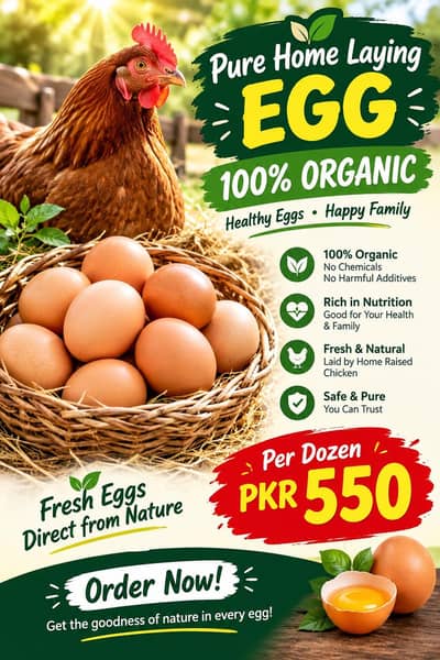 pure home laying eggs