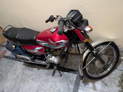 Honda 125 23/24