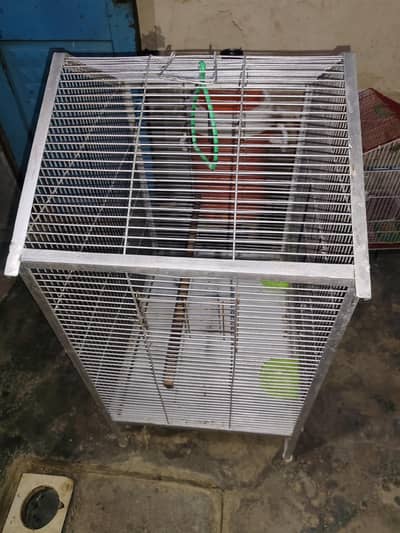 Parrot Cage