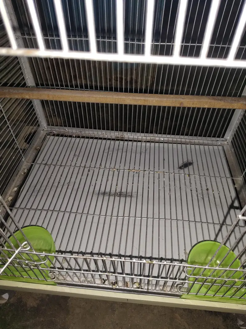 Parrot Cage — photo 2