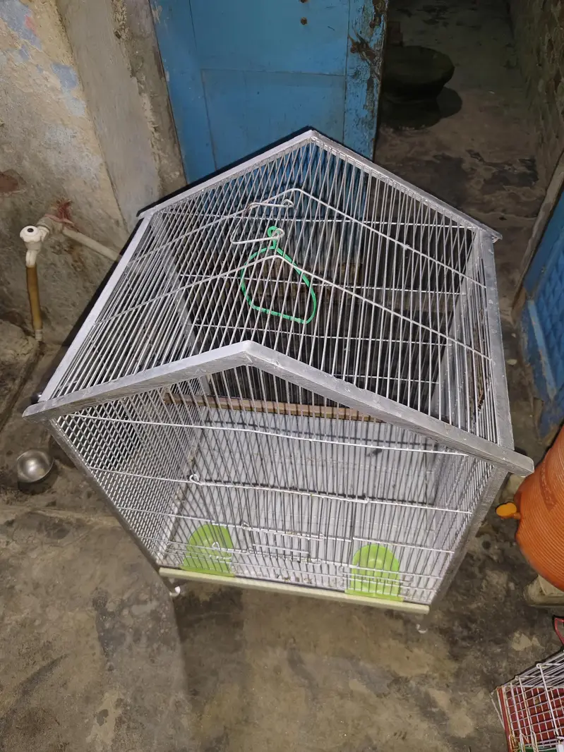 Parrot Cage — photo 3