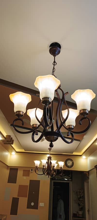 Premium 8 & 5 Shade chandelier condition new 10 by 10 Elegant jhoomar