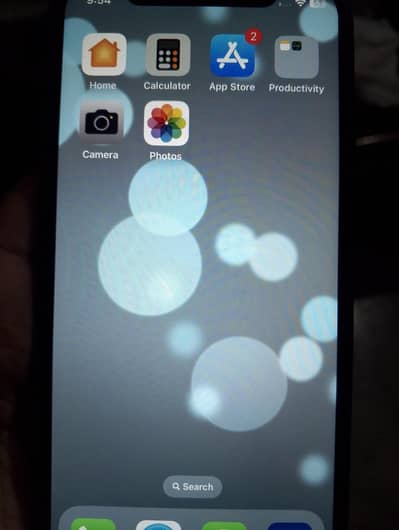 Apple iPhone X