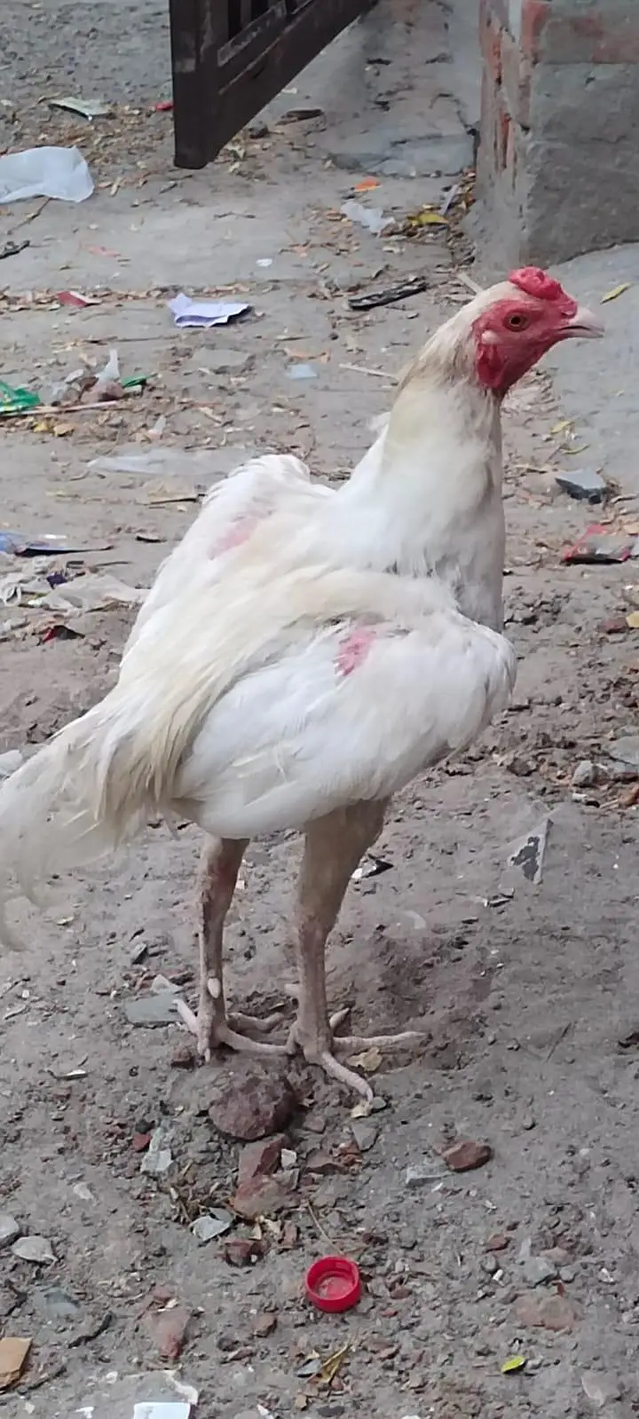 Argent sell — photo 2