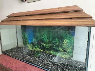 Aquarium for sale