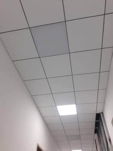 Ceiling 6
