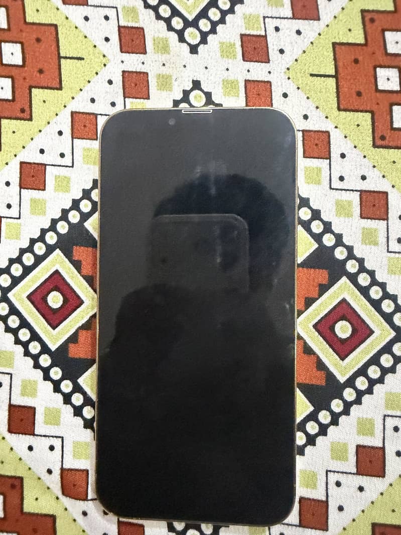 Apple iPhone 13 Pro Max 1