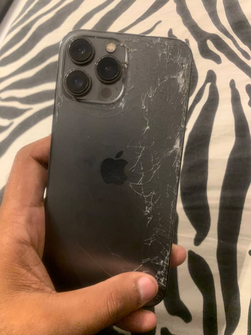 Apple iPhone 13 Pro Max 0