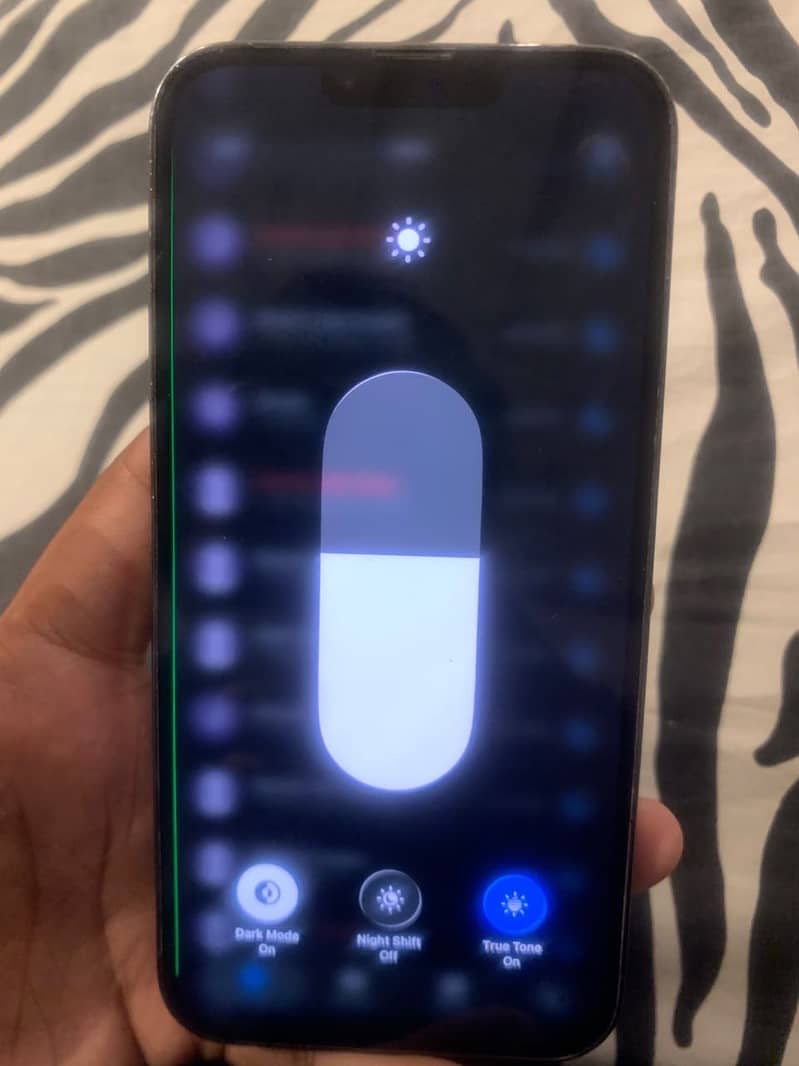 Apple iPhone 13 Pro Max 1