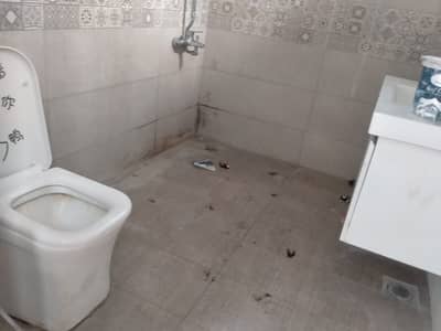 1 kanal in front of F10 markaz house available for rent.