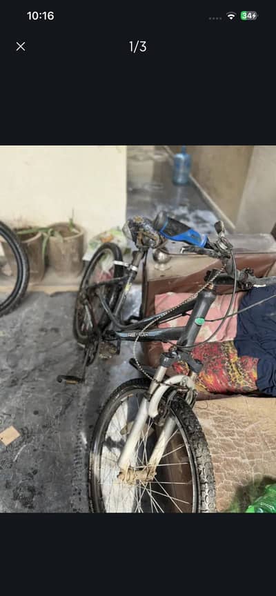 Imported cycle free rider