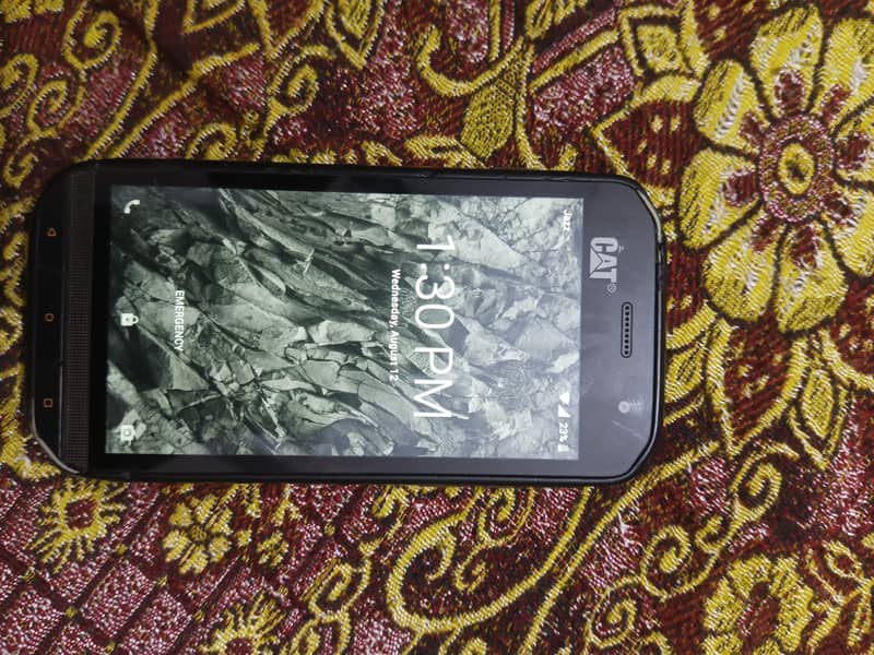 Cat S48c 1