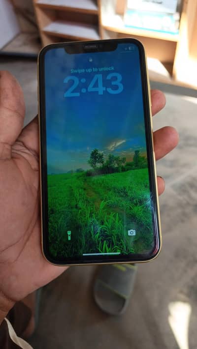 Apple iPhone 11