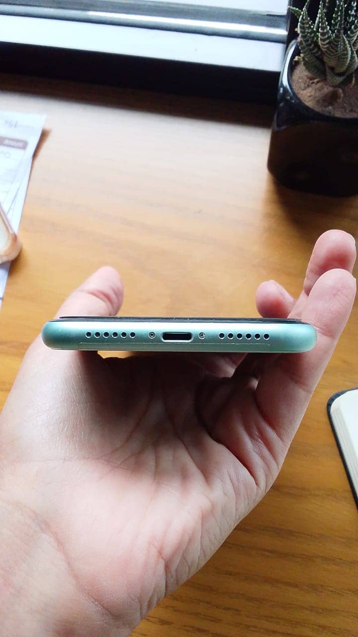 Apple iPhone 11 0