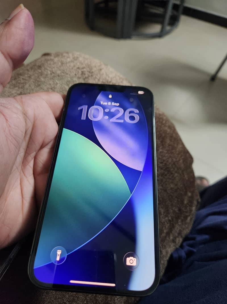 Apple iPhone 13 Pro Max 2