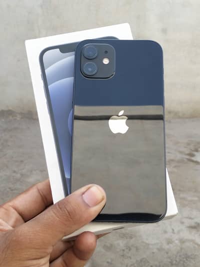 Apple iPhone 12