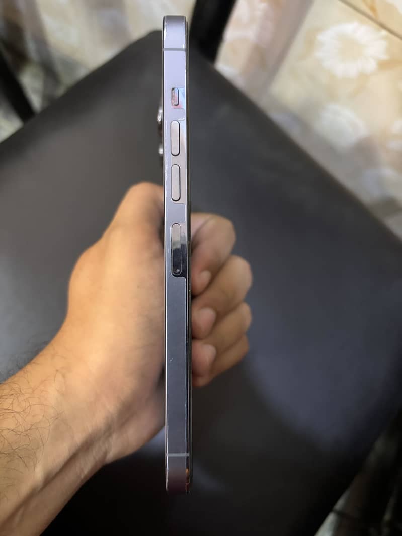Apple iPhone 13 Pro Max 6