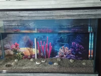 3 feet size tempered glass And quarium
