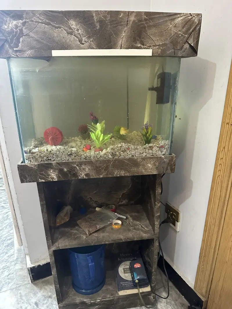 Fish aquarium — photo 2