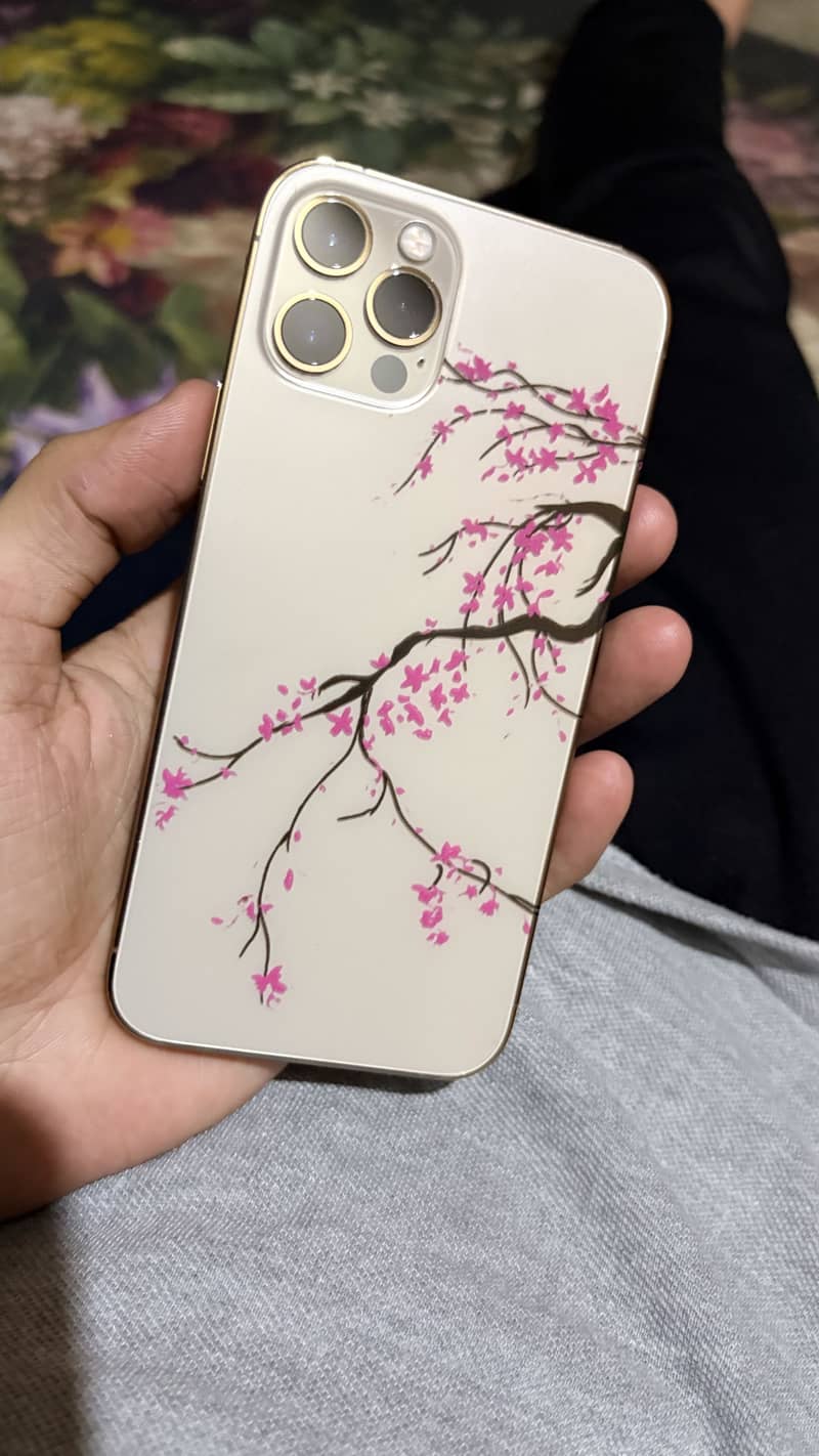 Apple iPhone 12 Pro 0