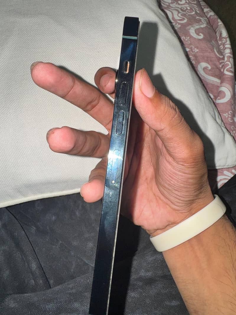 Apple iPhone 13 Pro Max 2
