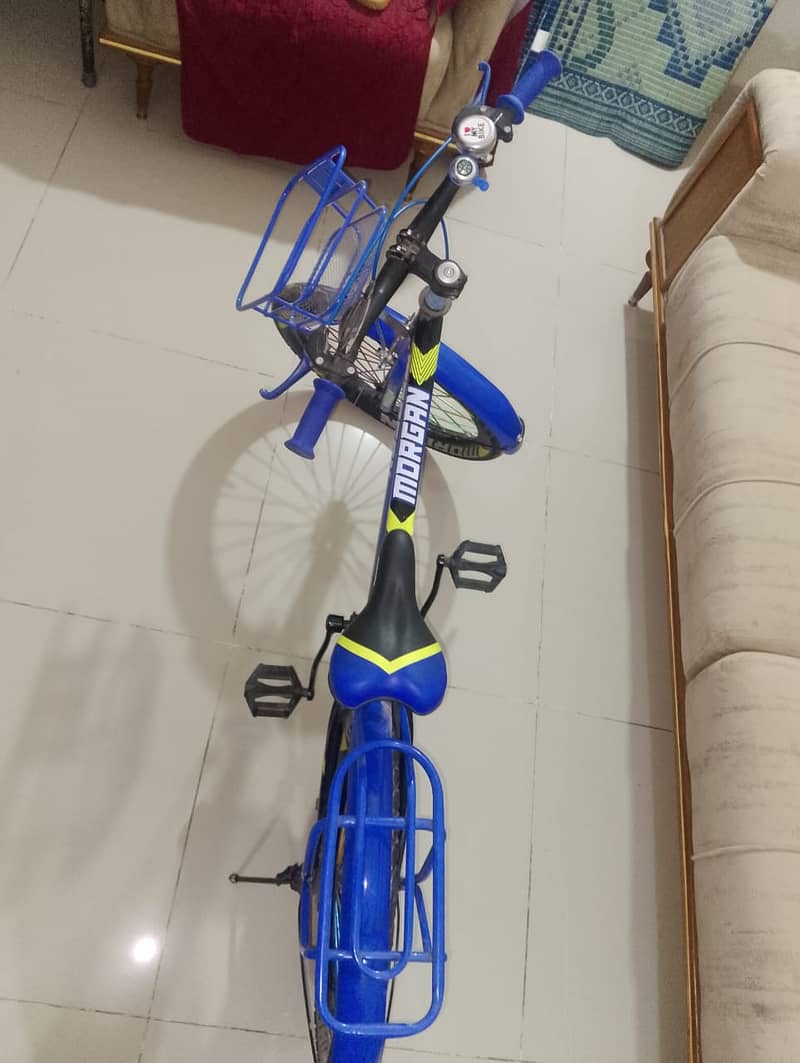 Cycle 5