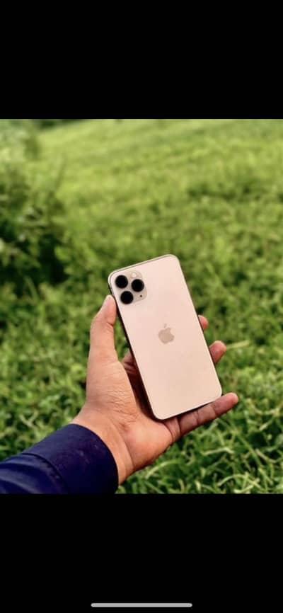 Apple iPhone 11 pro