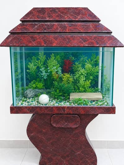 Aquarium