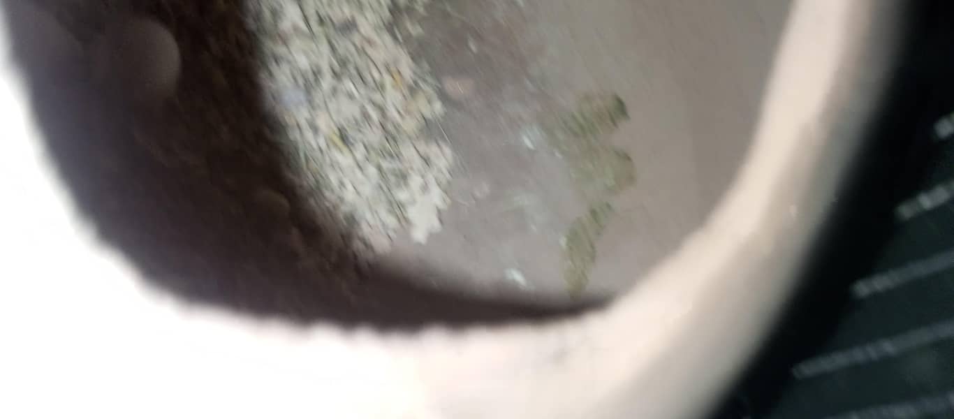03700240931 7