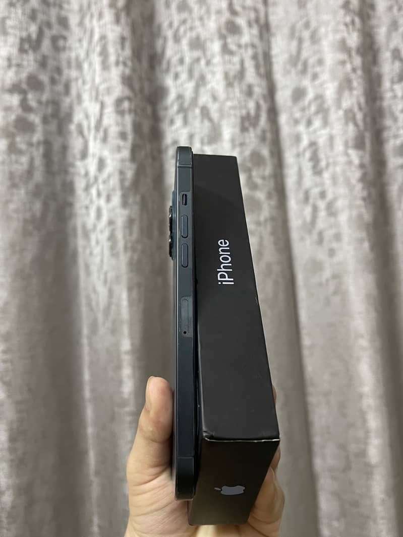 Apple iPhone 12 Pro Max 1