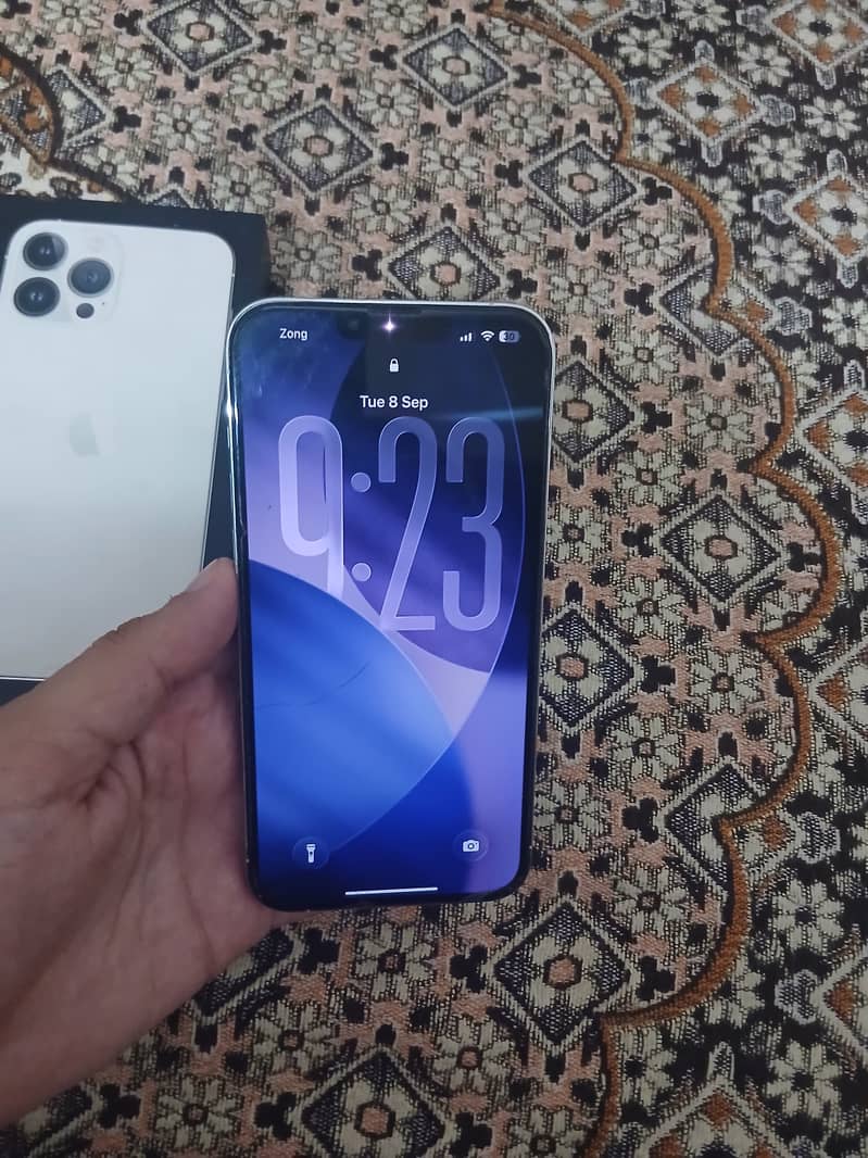 Apple iPhone 13 Pro Max 1