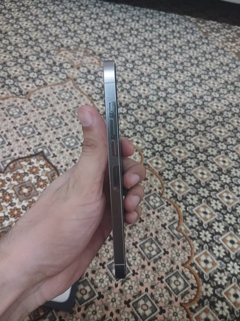 Apple iPhone 13 Pro Max 4