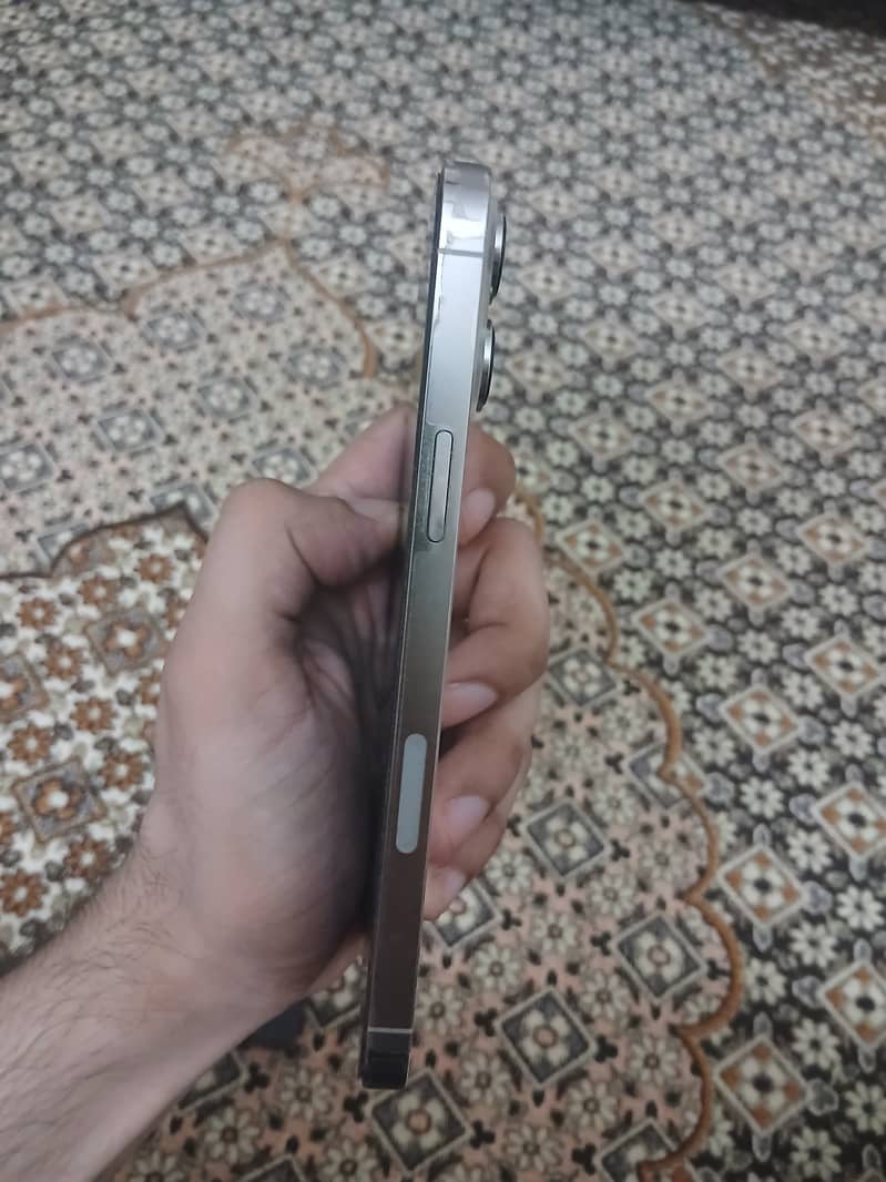 Apple iPhone 13 Pro Max 5