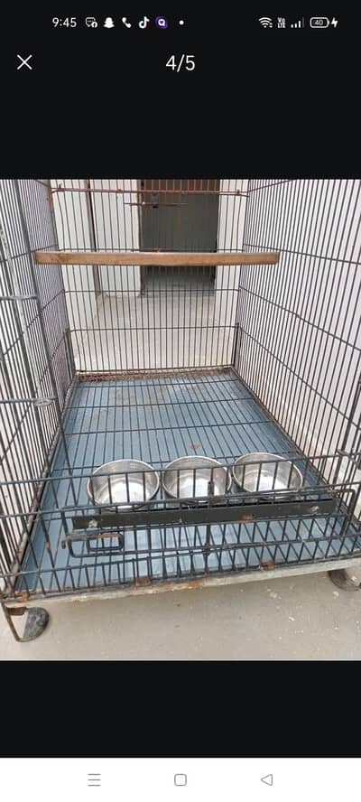 raw parrot cage