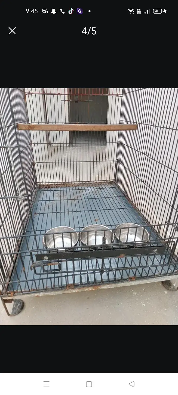 raw parrot cage