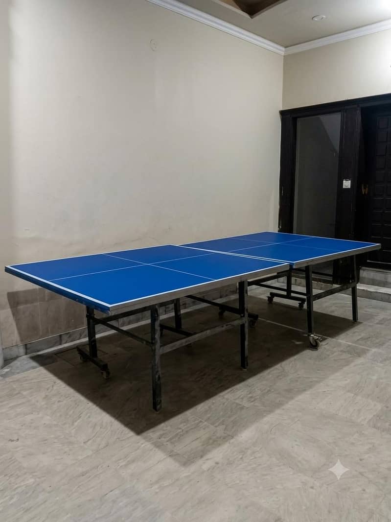 Table Tennis Table 1