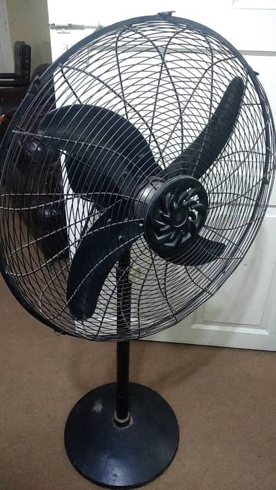 champion pedestal fan