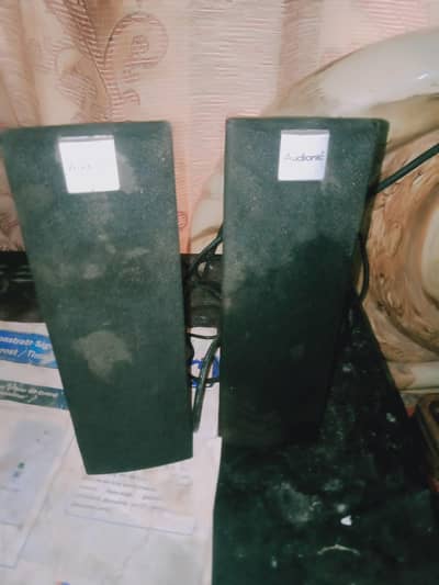 audionic soeker conect with mobile