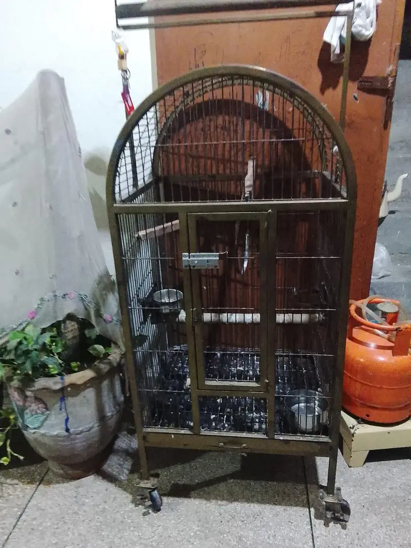 Fancy Cage/ Birds cage / Iron cage — photo 2