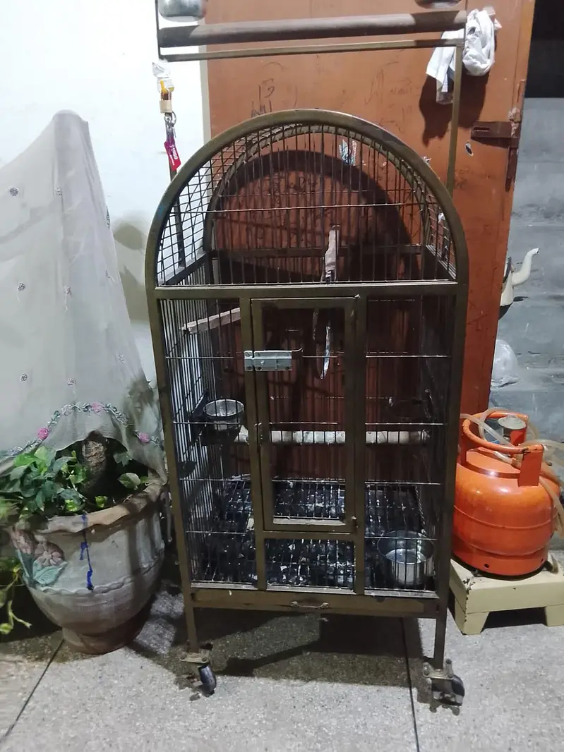 Fancy Cage/ Birds cage / Iron cage — photo 3