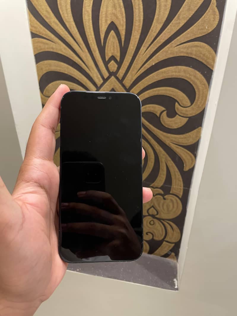 Apple iPhone 12 1