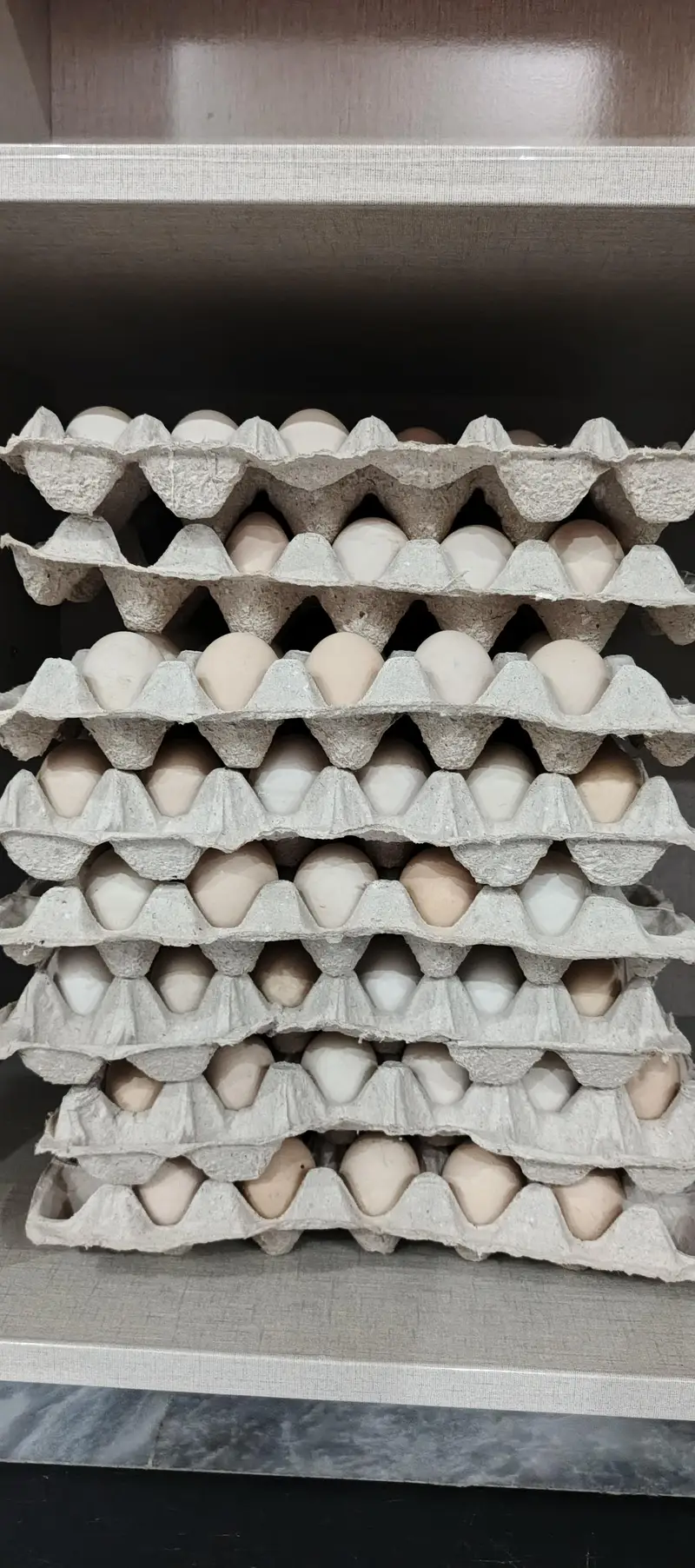 دیسی انڈے — photo 2