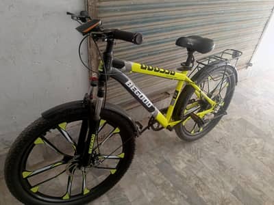 Mountain bicycle