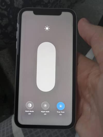 i phone 11.