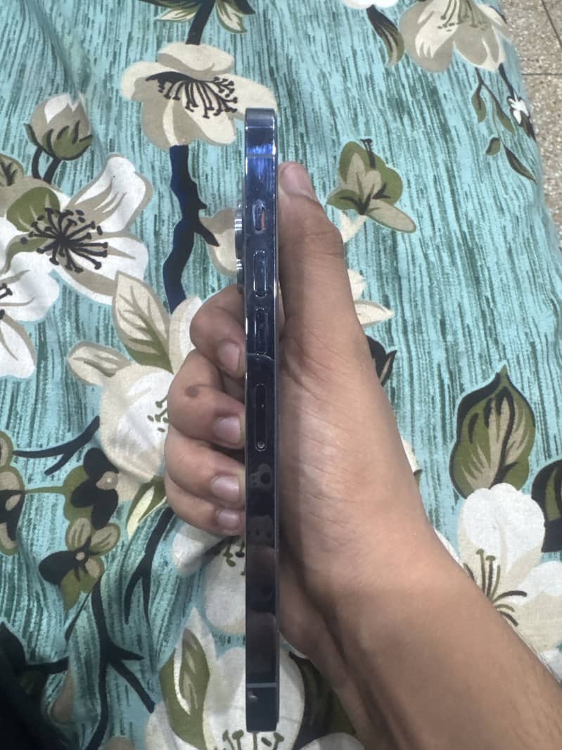 Apple iPhone 13 Pro Max 2