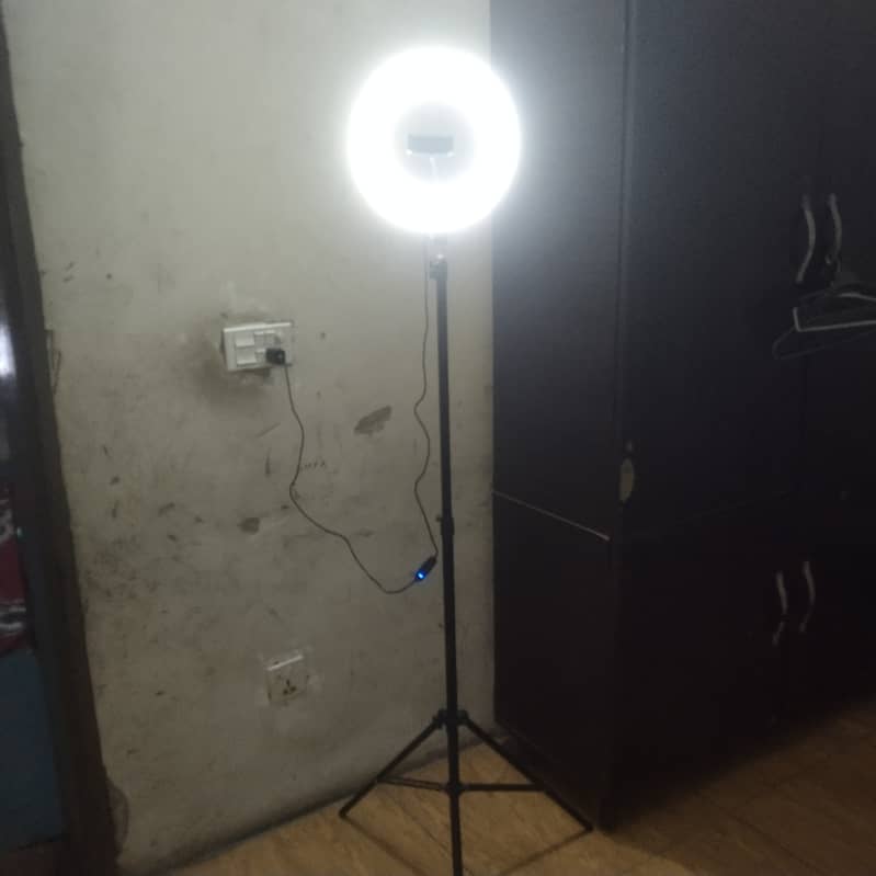 tiktok stand 2