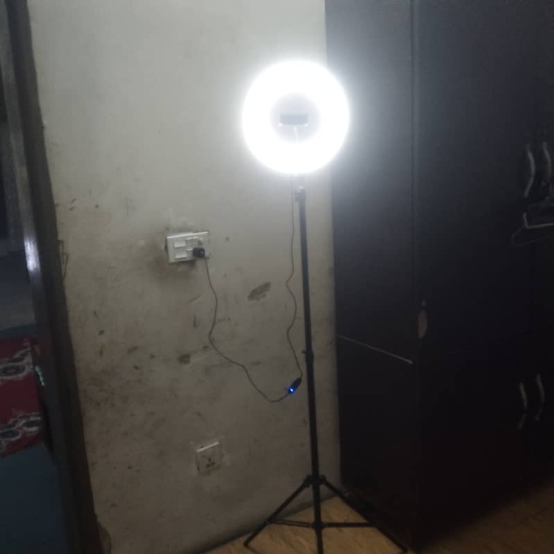 tiktok stand 3