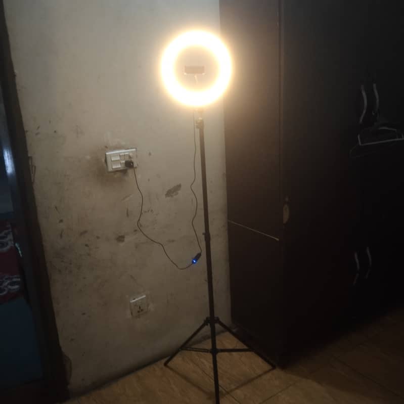 tiktok stand 4