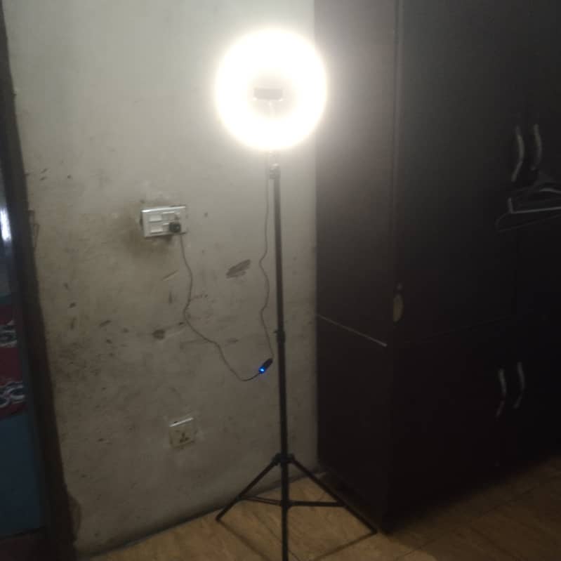 tiktok stand 5